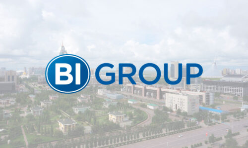 Продукция BI Group